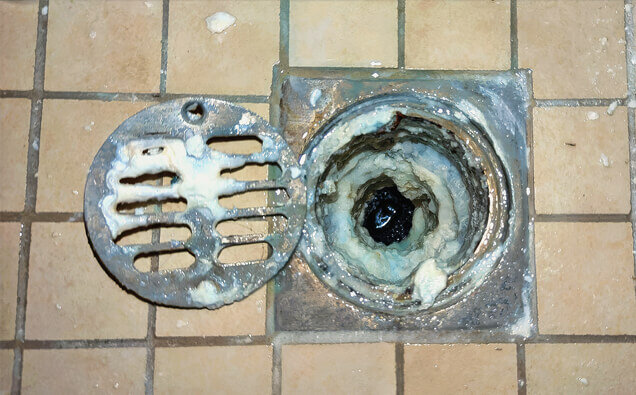 https://blockeddrainswatermansbay.com.au/uploads/2025/07/blocked-shower-drains-33151.jpg