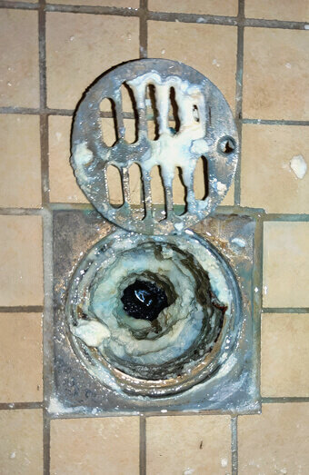 https://blockeddrainswatermansbay.com.au/uploads/2025/07/blocked-shower-drains-86331.jpg