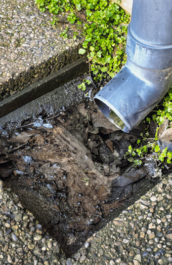 https://blockeddrainswatermansbay.com.au/uploads/2025/07/hero-blocked-sewers-20143.jpg