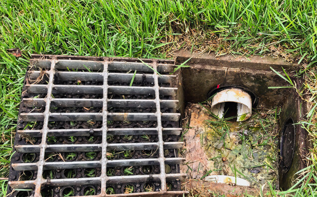 https://blockeddrainswatermansbay.com.au/uploads/2025/07/hero-blocked-sewers-40191.jpg