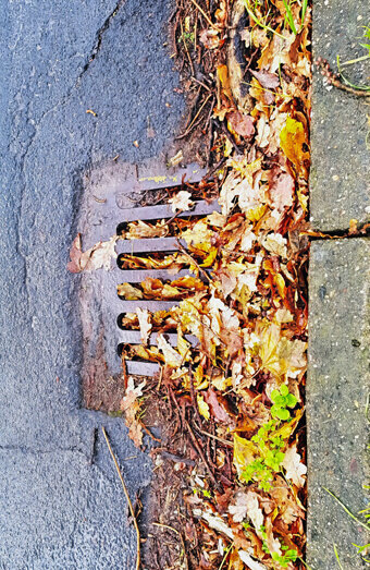 https://blockeddrainswatermansbay.com.au/uploads/2025/07/stormwater-drains-48051.jpg